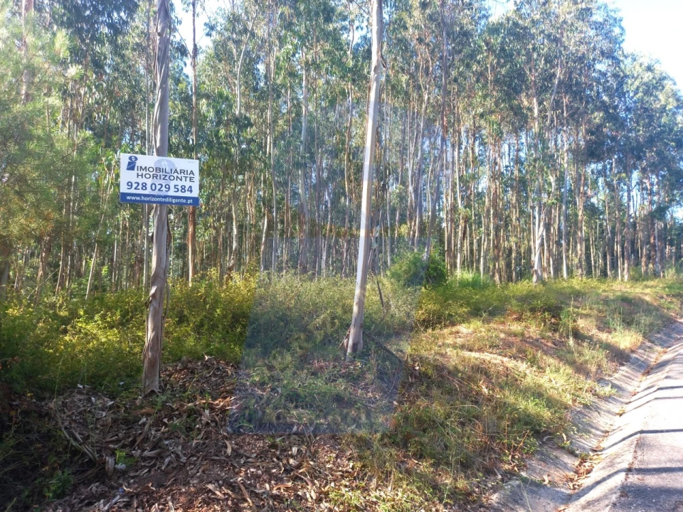 Terreno para Venda em Barrô e Aguada de Baixo Foto 1