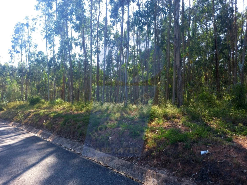 Terreno para Venda em Barrô e Aguada de Baixo Foto 4