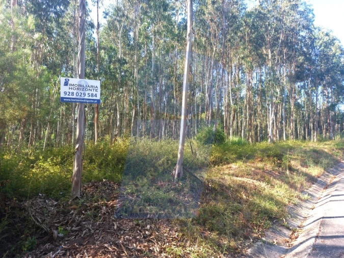 Terreno para Venda em Barrô e Aguada de Baixo