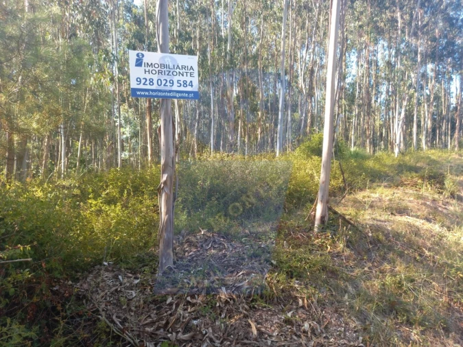 Terreno para Venda em Barrô e Aguada de Baixo Foto 2