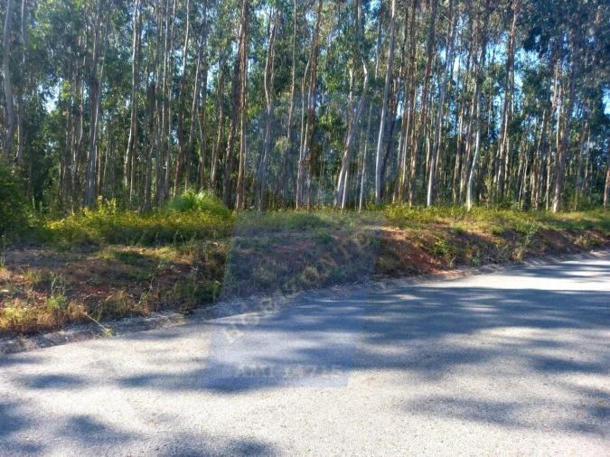 Terreno para Venda em Barrô e Aguada de Baixo Foto 3