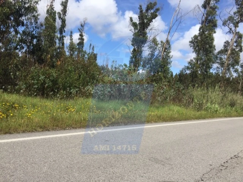 Terreno para Venda em Palhaça Foto 2