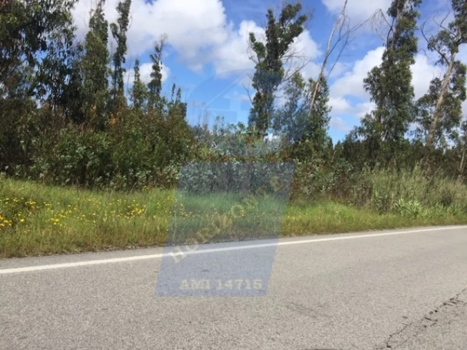 Terreno para Venda em Palhaça Foto 2