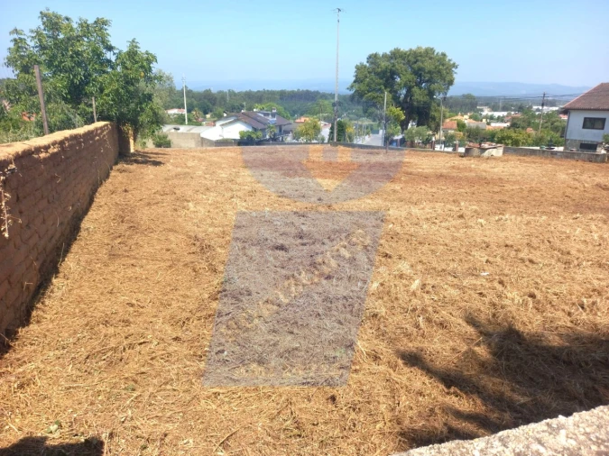 Terreno para Venda em Barrô e Aguada de Baixo Foto 4