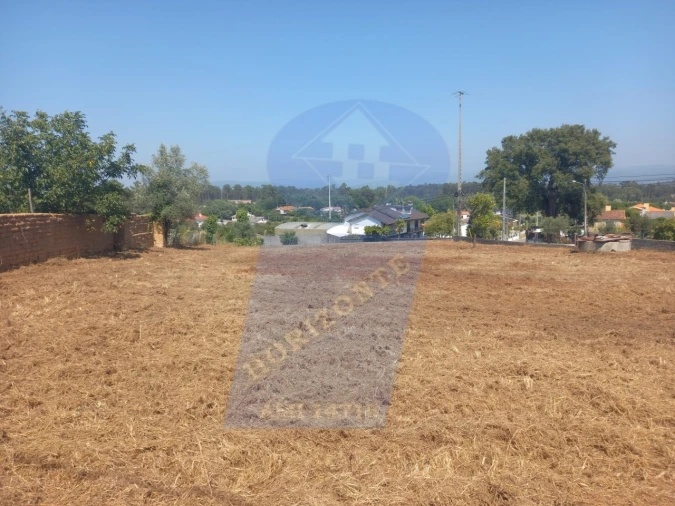 Terreno para Venda em Barrô e Aguada de Baixo Foto 5