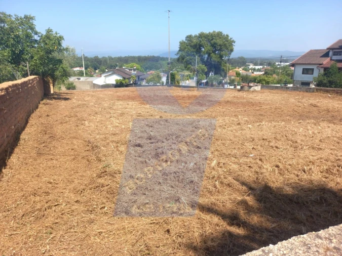 Terreno para Venda em Barrô e Aguada de Baixo Foto 7