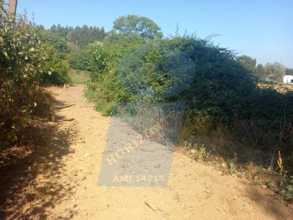 Terreno para Venda em Barrô e Aguada de Baixo Foto 1