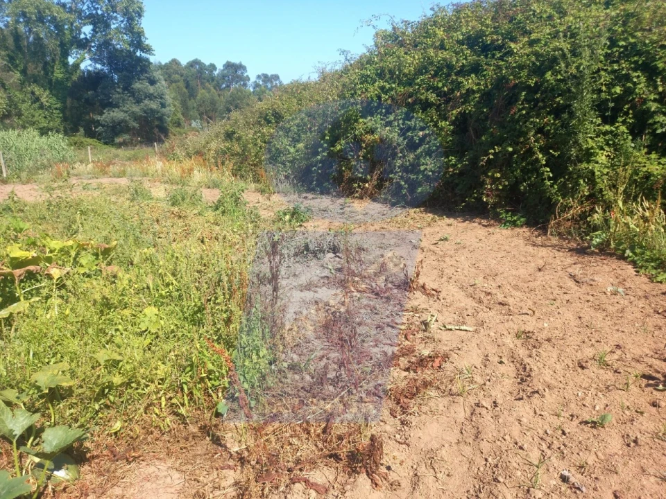 Terreno para Venda em Barrô e Aguada de Baixo Foto 2