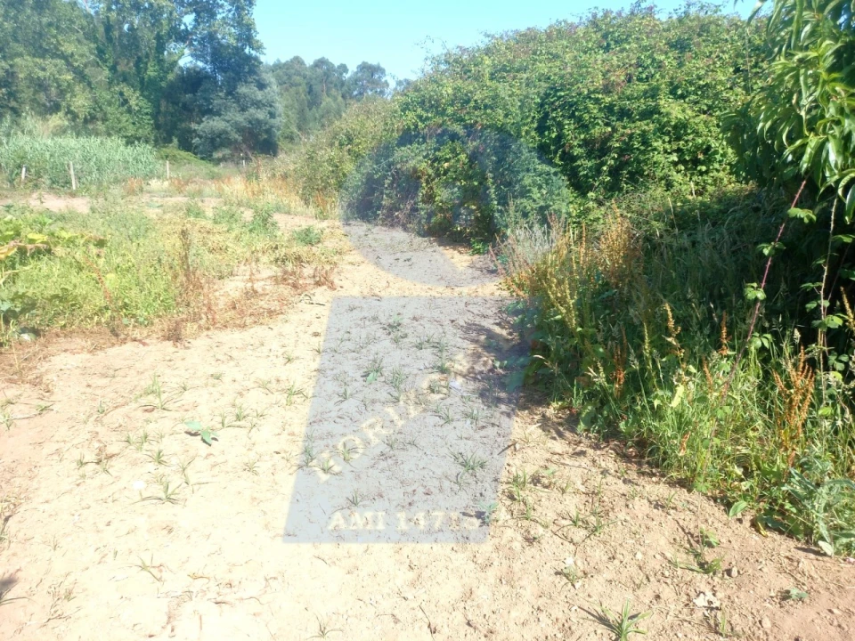 Terreno para Venda em Barrô e Aguada de Baixo Foto 3
