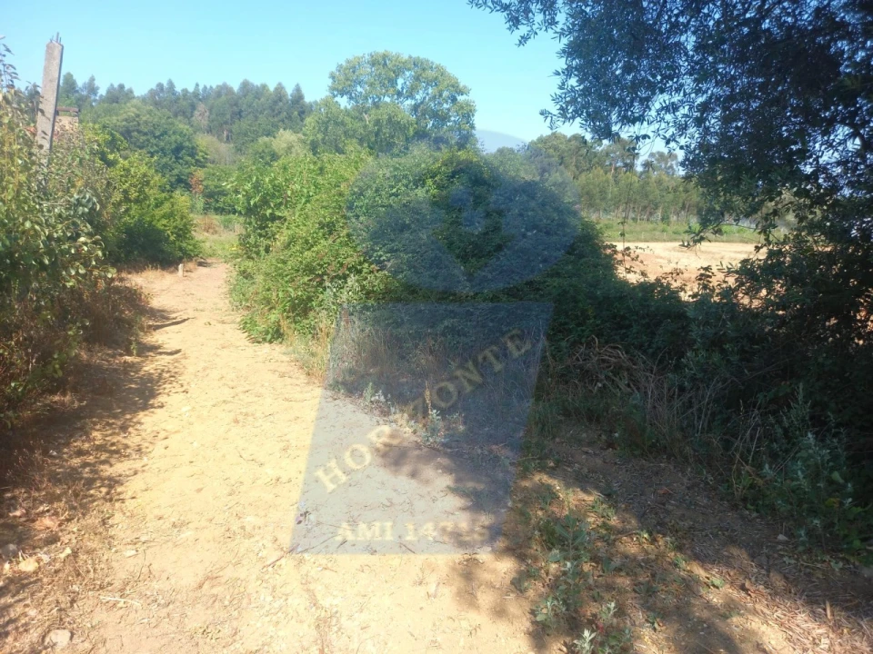 Terreno para Venda em Barrô e Aguada de Baixo Foto 4