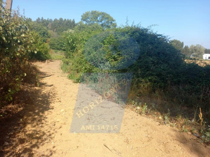 Terreno para Venda em Barrô e Aguada de Baixo