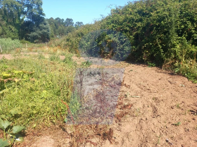 Terreno para Venda em Barrô e Aguada de Baixo Foto 2