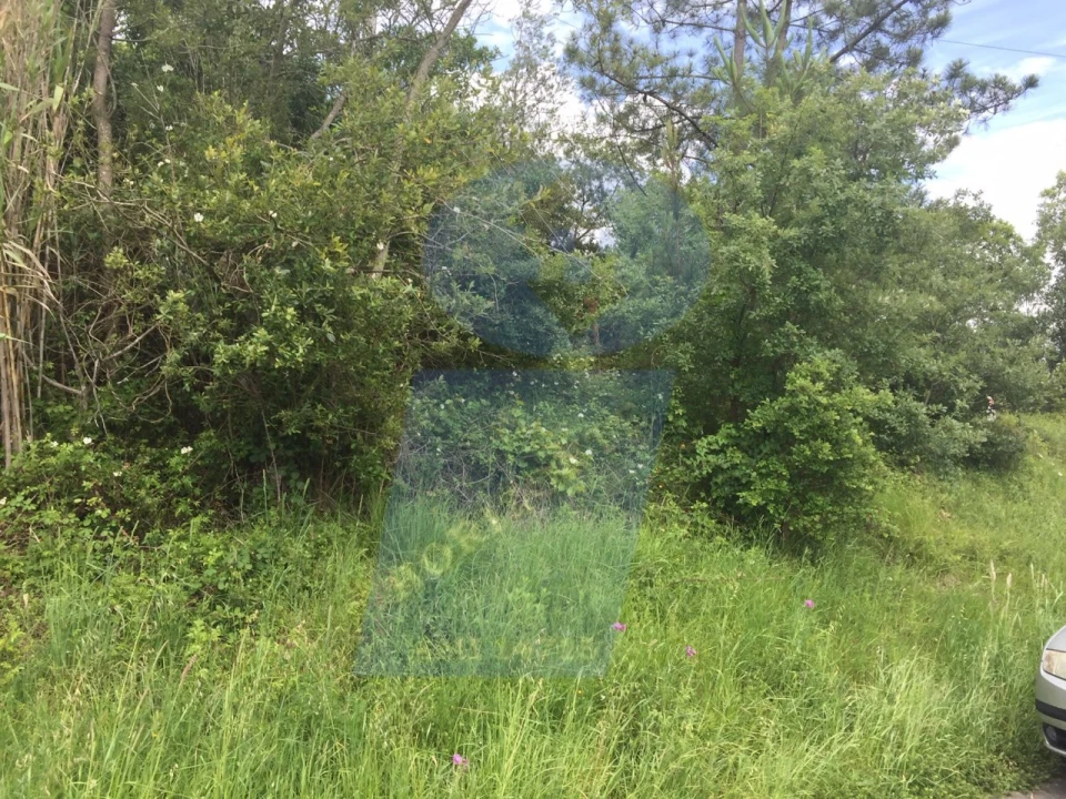 Terreno para Venda em São Lourenço do Bairro Foto 3