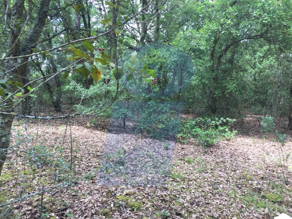 Terreno para Venda em São Lourenço do Bairro Foto 1