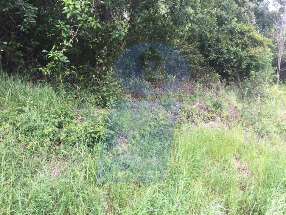 Terreno para Venda em São Lourenço do Bairro Foto 4