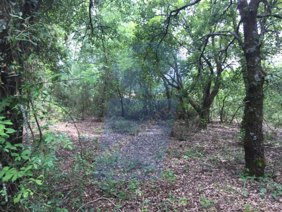 Terreno para Venda em São Lourenço do Bairro Foto 2