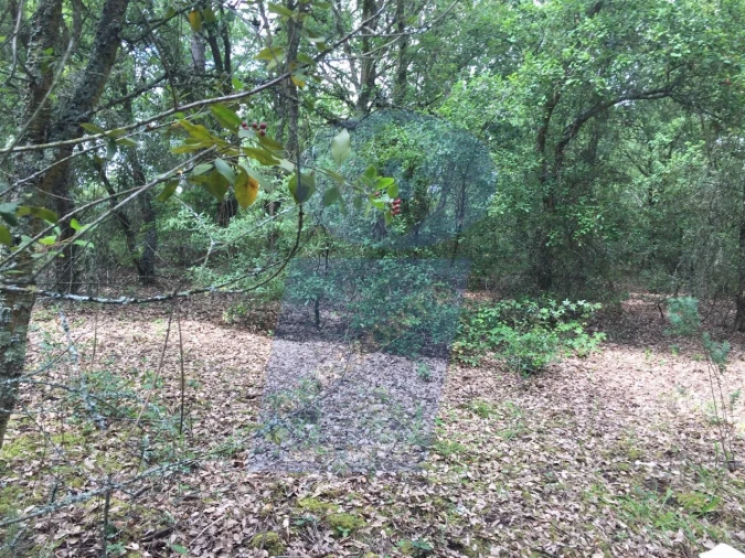 Terreno para Venda em São Lourenço do Bairro