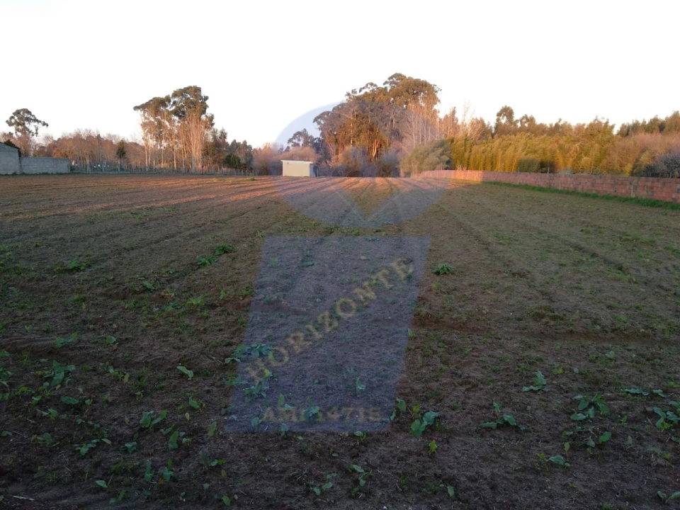 Terreno para Venda em Palhaça Foto 2