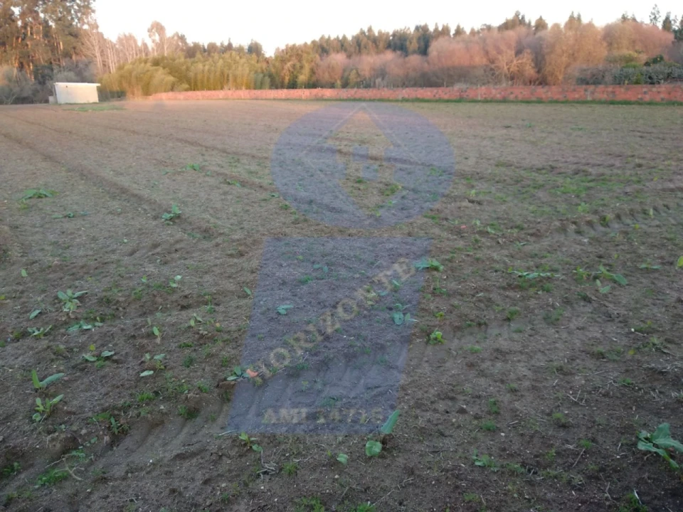 Terreno para Venda em Palhaça Foto 1
