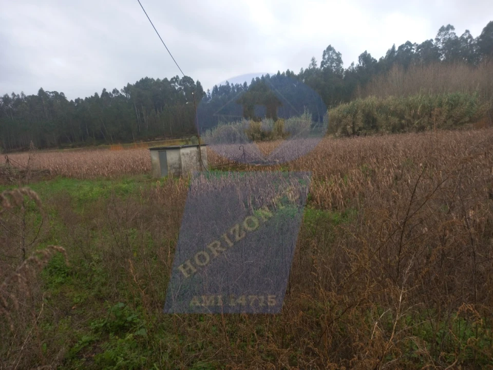 Terreno para Venda em Amoreira da Gândara, Paredes do Bairro e Ancas Foto 3