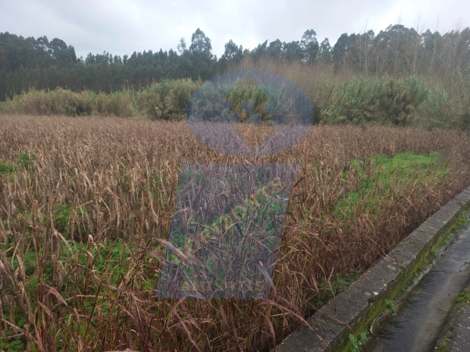 Terreno para Venda em Amoreira da Gândara, Paredes do Bairro e Ancas Foto 2