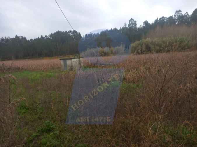 Terreno para Venda em Amoreira da Gândara, Paredes do Bairro e Ancas Foto 3
