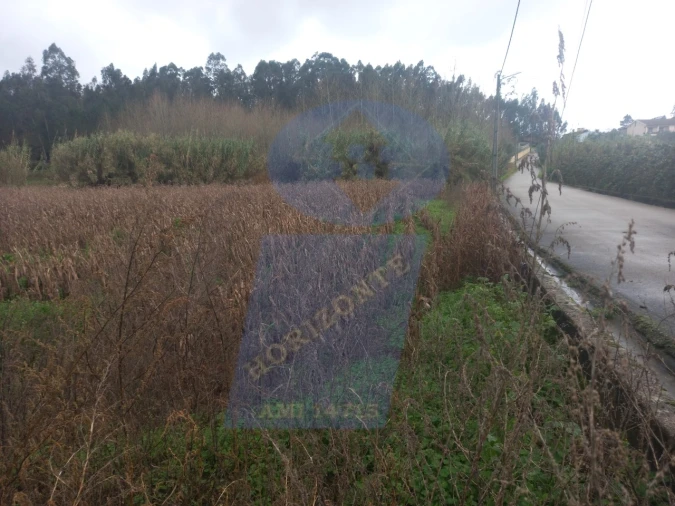 Terreno para Venda em Amoreira da Gândara, Paredes do Bairro e Ancas Foto 5