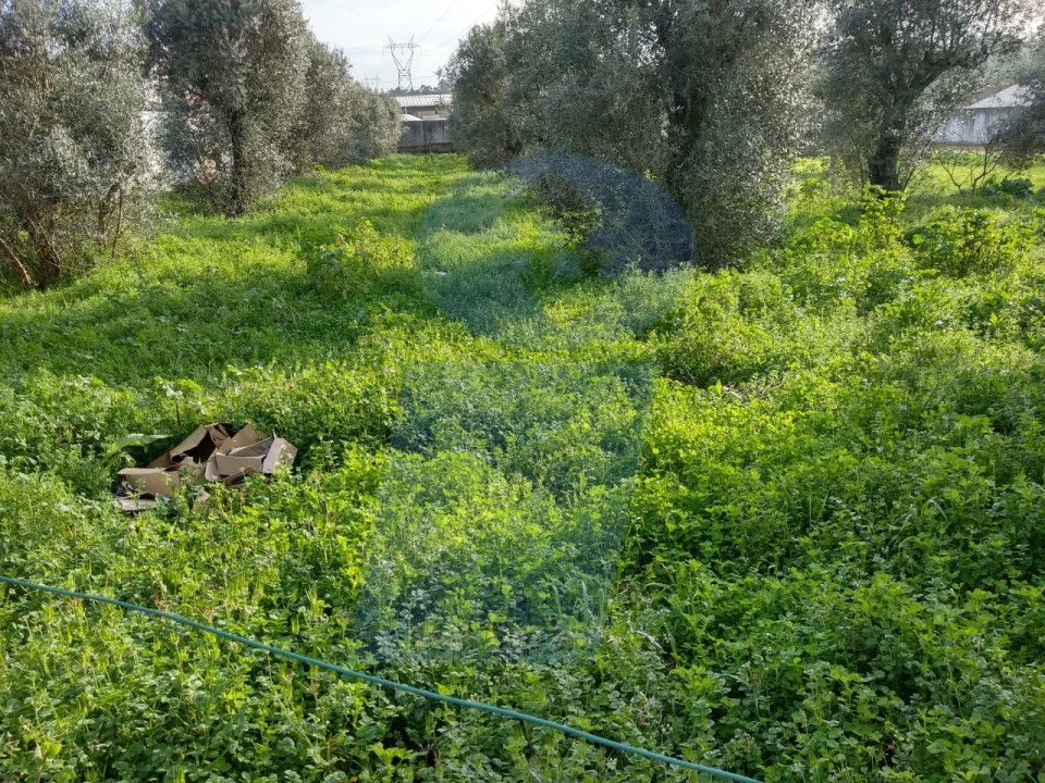Terreno Comércio / Armazém para Venda em Aguada de Cima Foto 1