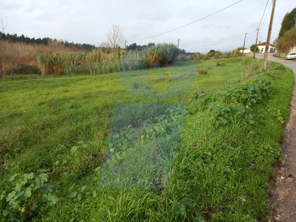 Terreno para Venda em Amoreira da Gândara, Paredes do Bairro e Ancas Foto 2