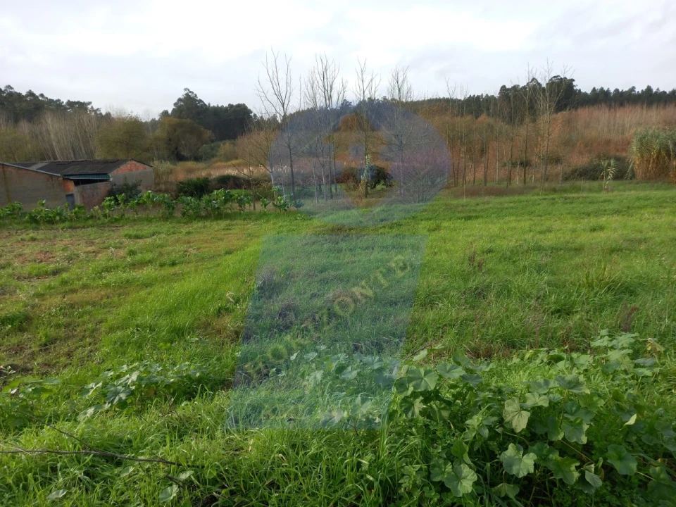 Terreno para Venda em Amoreira da Gândara, Paredes do Bairro e Ancas Foto 4