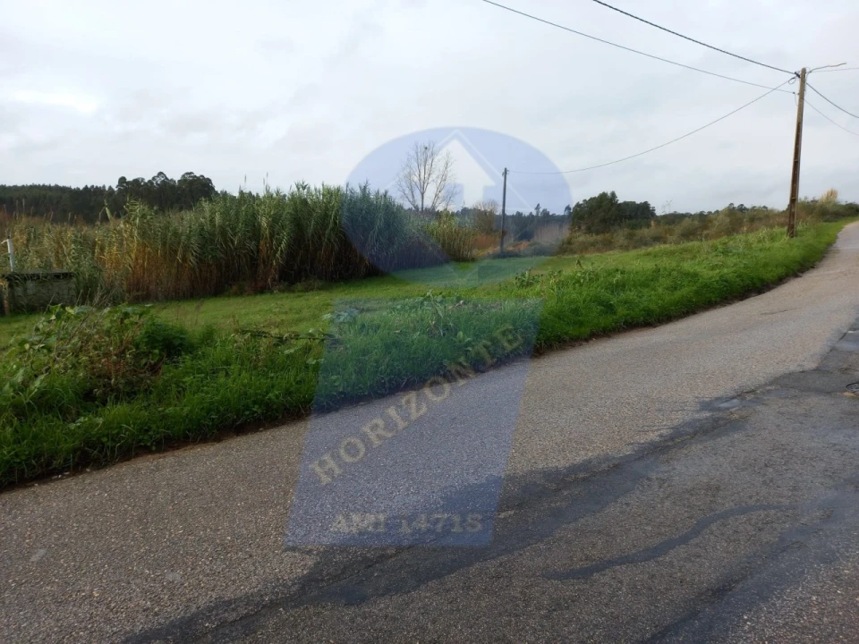 Terreno para Venda em Amoreira da Gândara, Paredes do Bairro e Ancas Foto 6