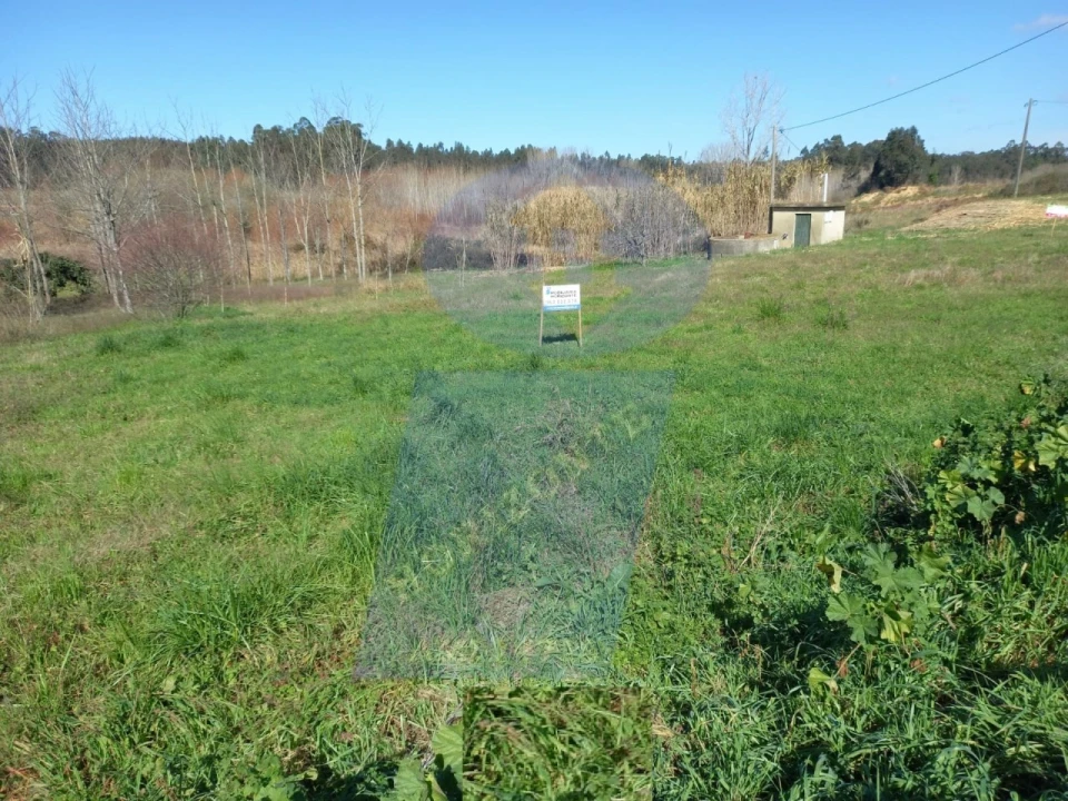 Terreno para Venda em Amoreira da Gândara, Paredes do Bairro e Ancas Foto 1