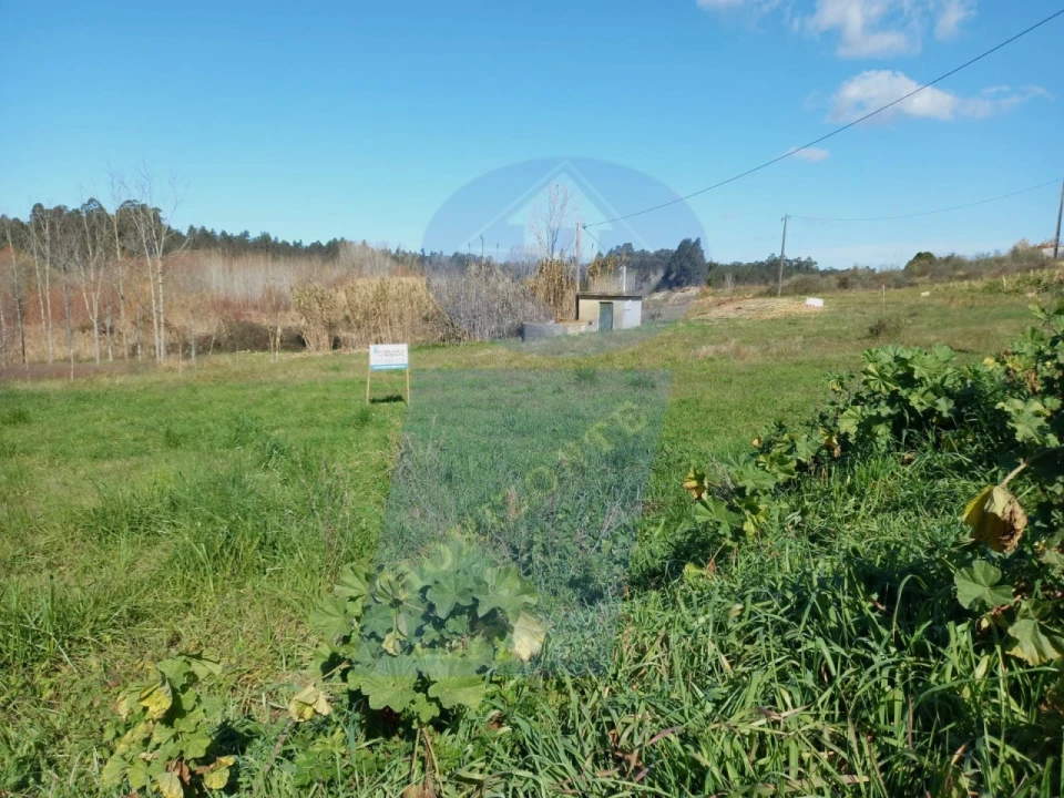 Terreno para Venda em Amoreira da Gândara, Paredes do Bairro e Ancas Foto 7
