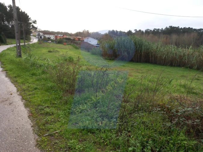 Terreno para Venda em Amoreira da Gândara, Paredes do Bairro e Ancas Foto 3