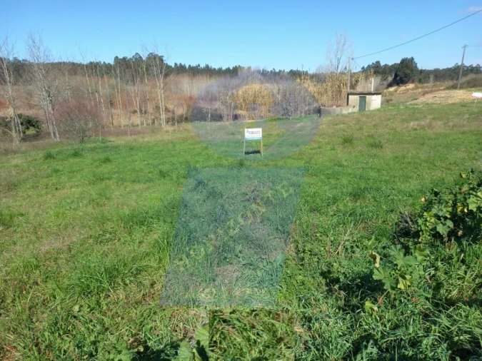 Terreno para Venda em Amoreira da Gândara, Paredes do Bairro e Ancas Foto 1
