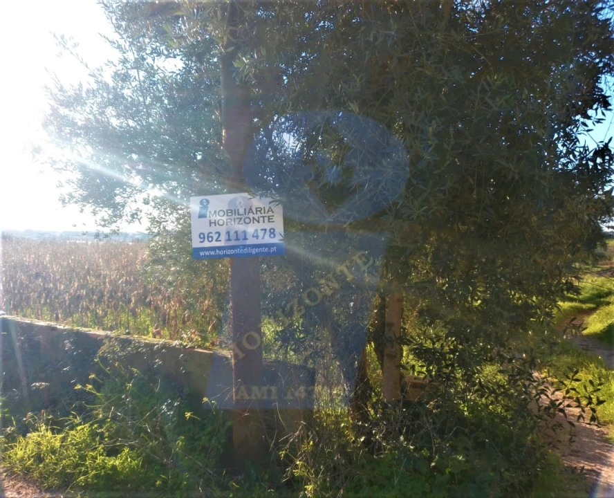 Terreno para Venda em Moita Foto 4