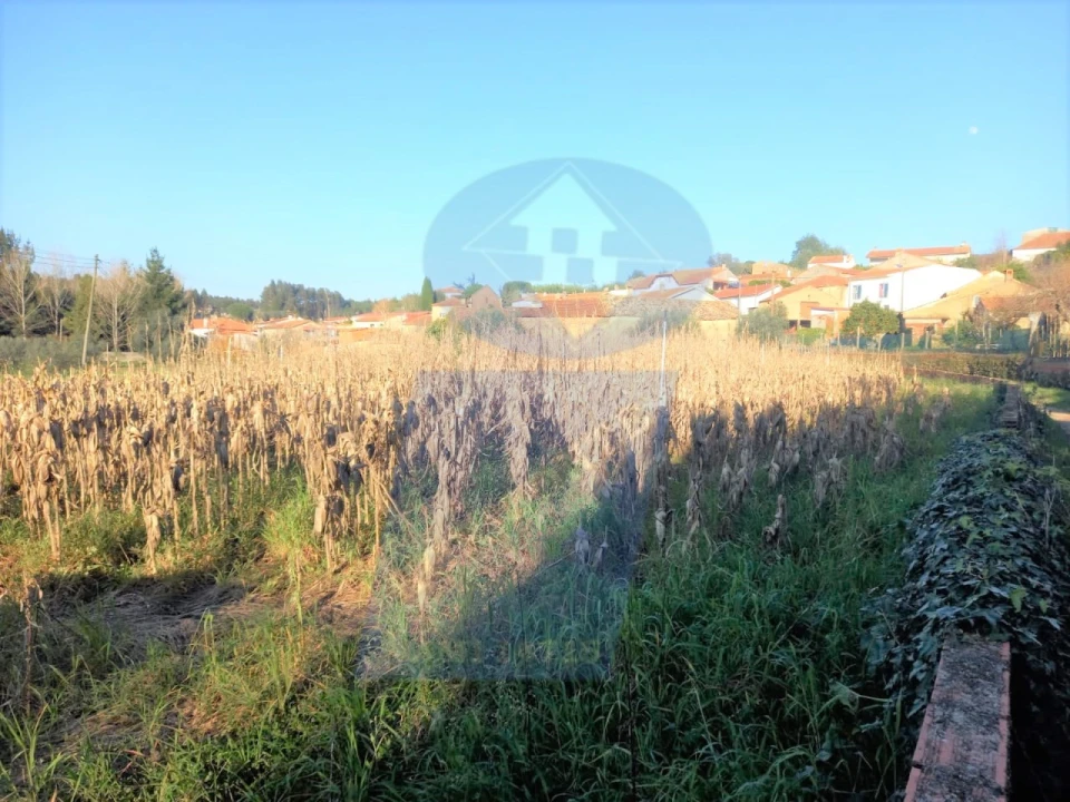 Terreno para Venda em Moita Foto 3