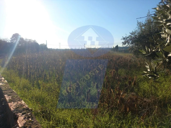 Terreno para Venda em Moita