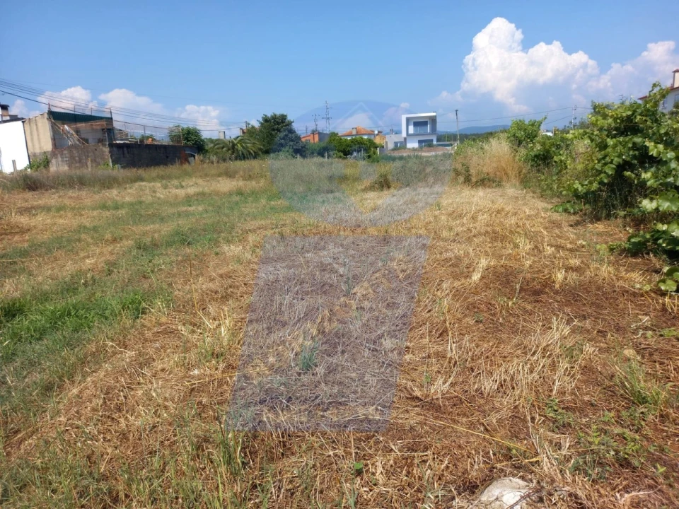 Terreno para Venda em Águeda e Borralha Foto 1