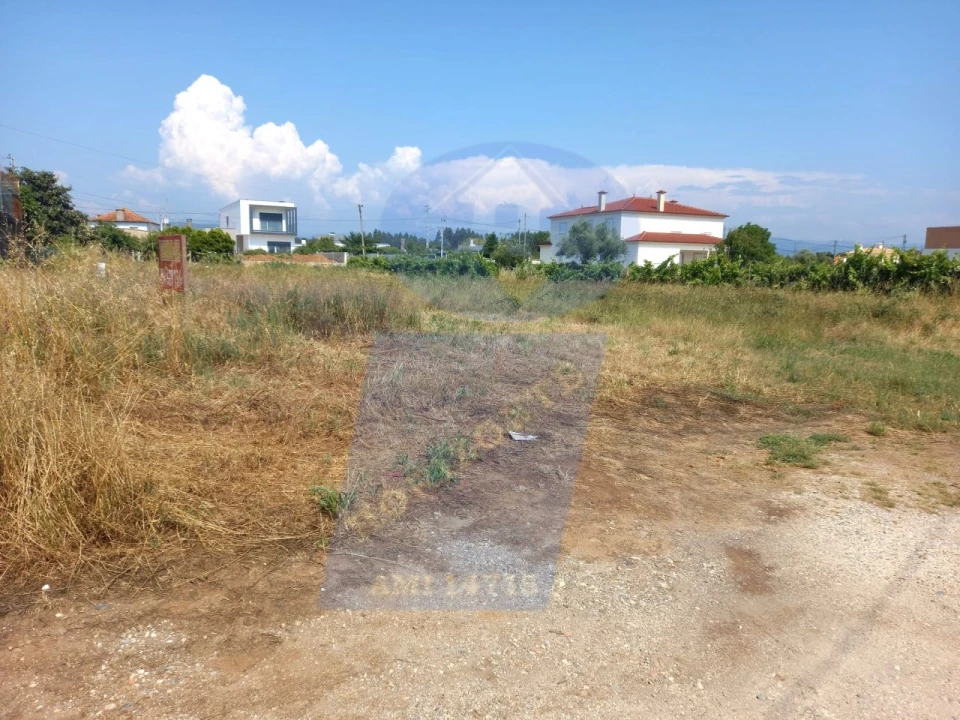 Terreno para Venda em Águeda e Borralha Foto 2