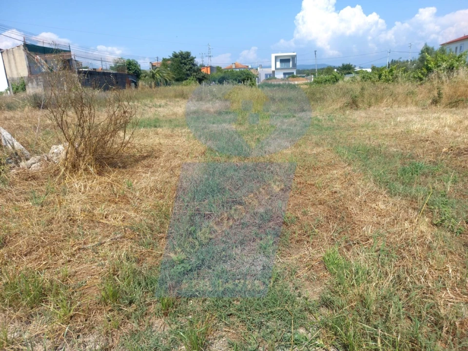 Terreno para Venda em Águeda e Borralha Foto 3