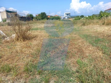 Terreno para Venda em Águeda e Borralha