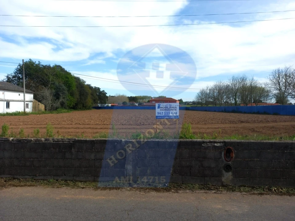 Terreno para Venda em Bustos, Troviscal e Mamarrosa Foto 1