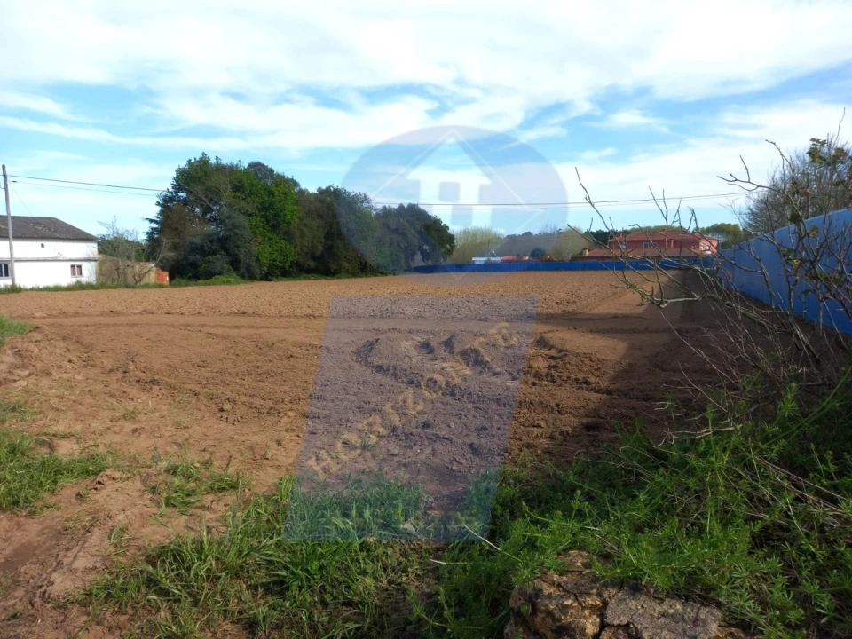Terreno para Venda em Bustos, Troviscal e Mamarrosa Foto 4