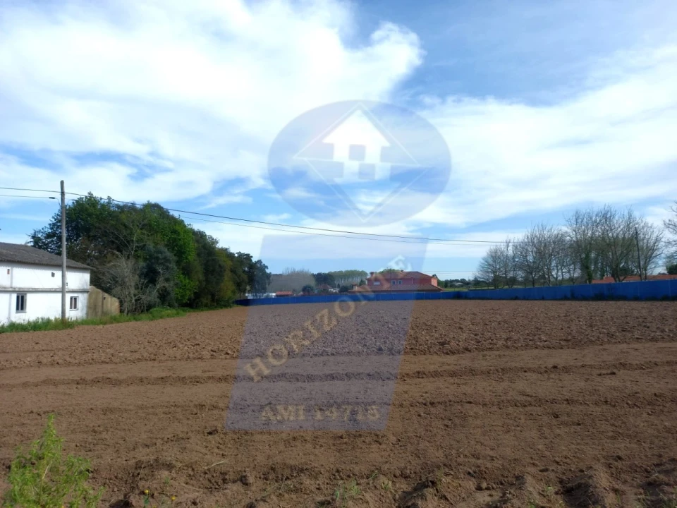 Terreno para Venda em Bustos, Troviscal e Mamarrosa Foto 5