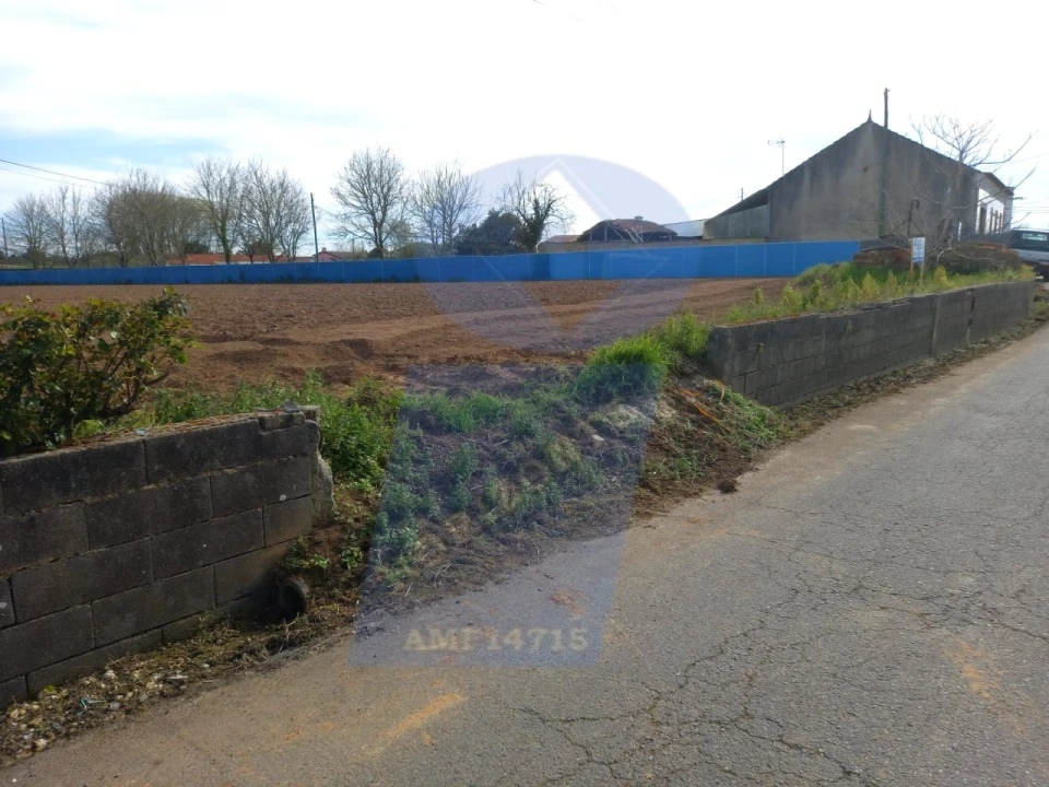 Terreno para Venda em Bustos, Troviscal e Mamarrosa Foto 6