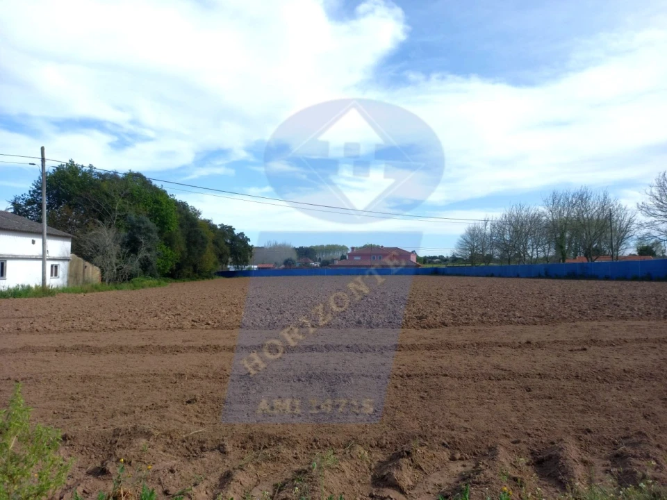 Terreno para Venda em Bustos, Troviscal e Mamarrosa Foto 7