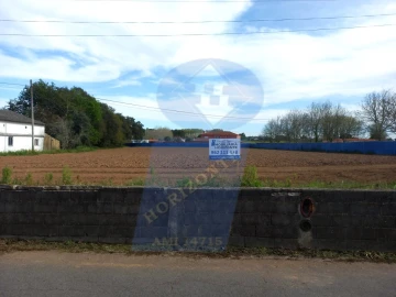 Terreno para Venda em Bustos, Troviscal e Mamarrosa