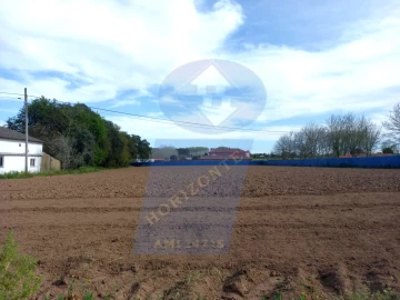 Terreno para Venda em Bustos, Troviscal e Mamarrosa