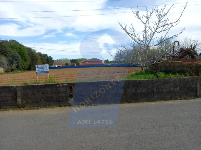 Terreno para Venda em Bustos, Troviscal e Mamarrosa Foto 3